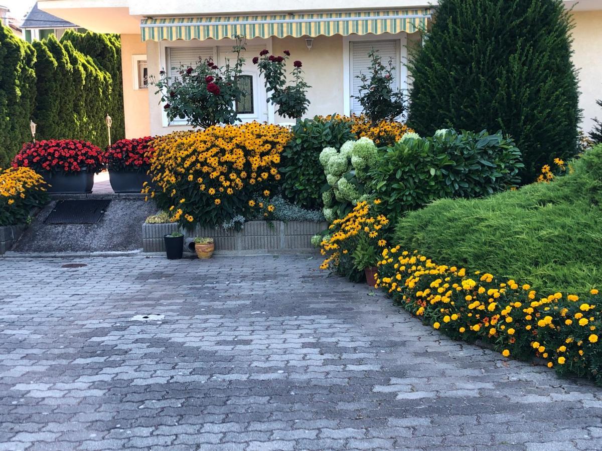 זלקרוס Jozsef Apartments House מראה חיצוני תמונה