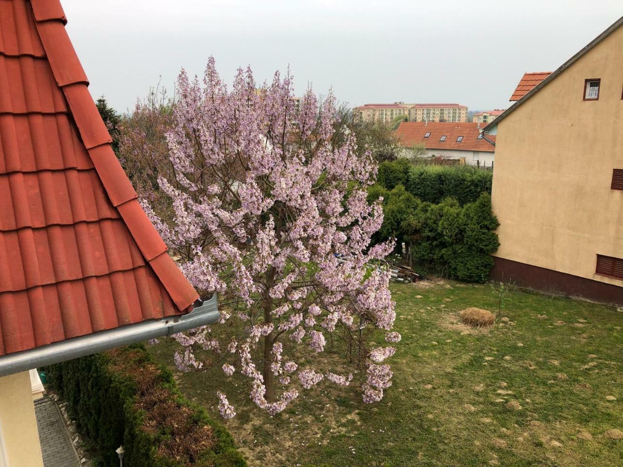 זלקרוס Jozsef Apartments House מראה חיצוני תמונה